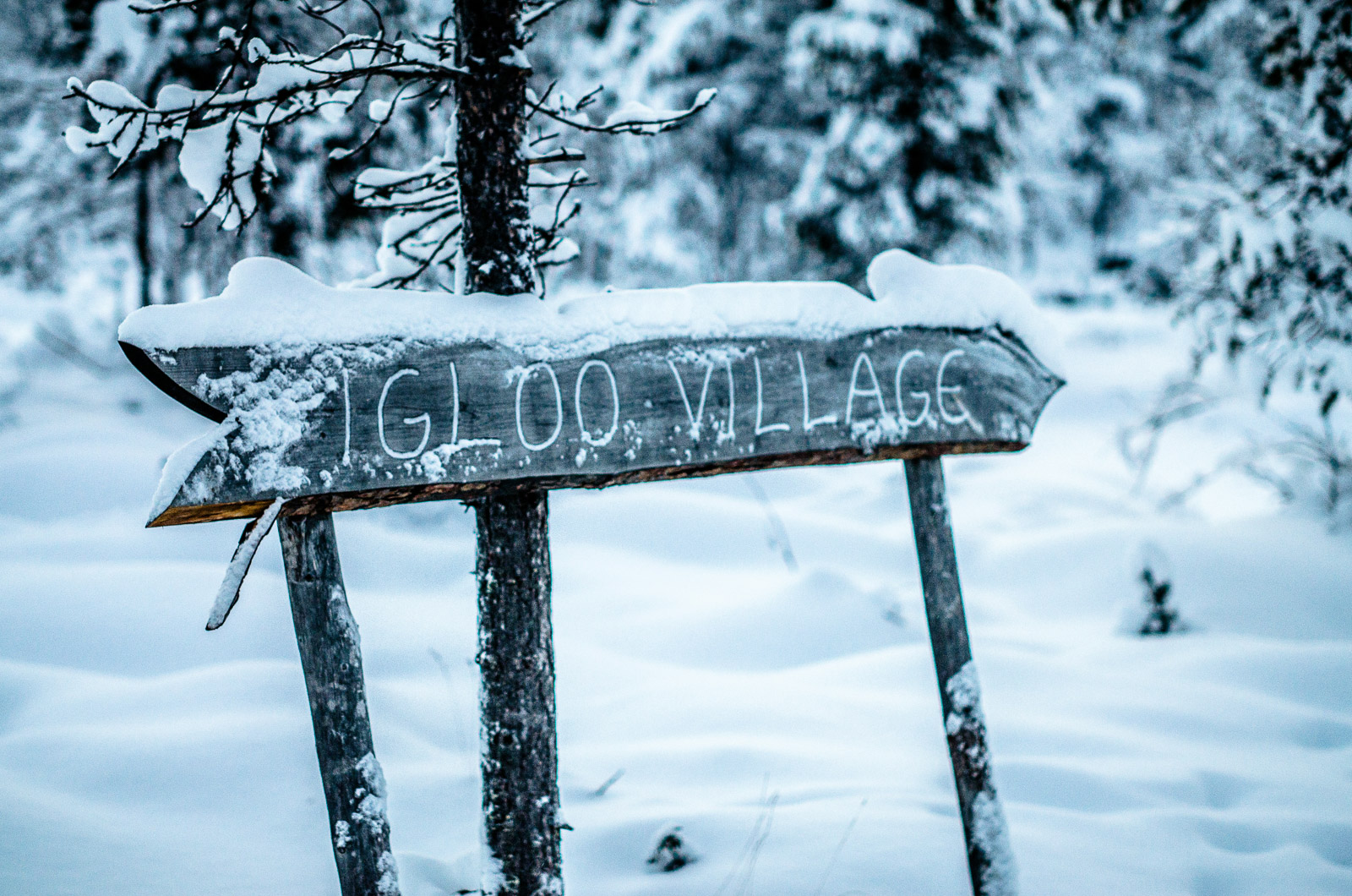 Car Rental Guide For Lapland Igloo Stays